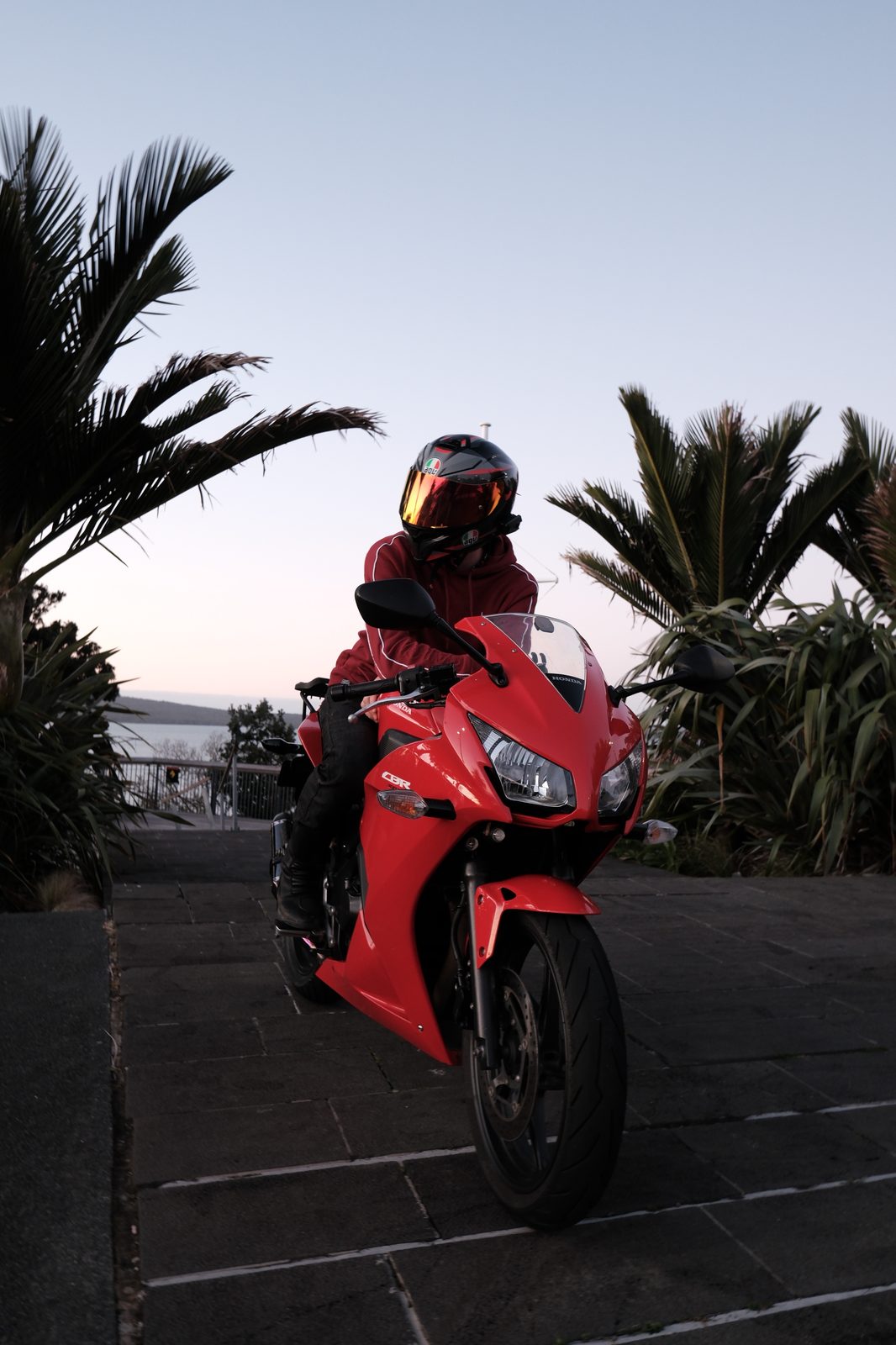 Clarissa's photography work — rider framed by palm trees at dusk